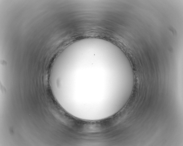 X0000091360745200708101054