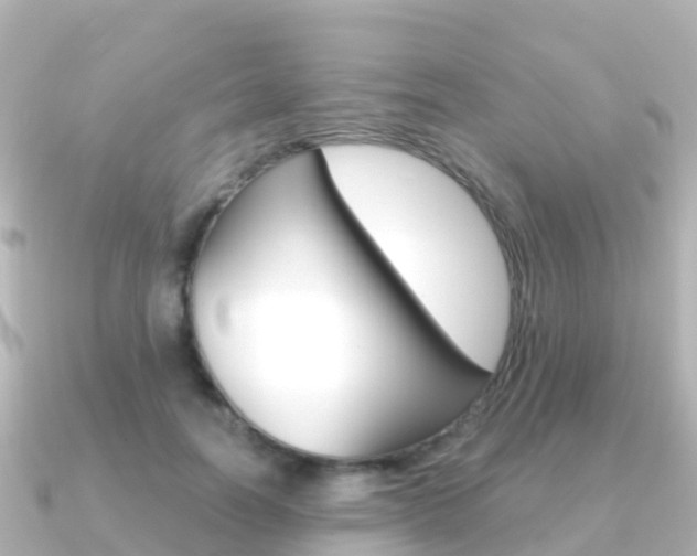X0000091360746200708101054