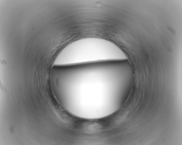 X0000091360747200708101054