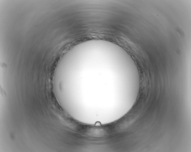 X0000091360749200708101054