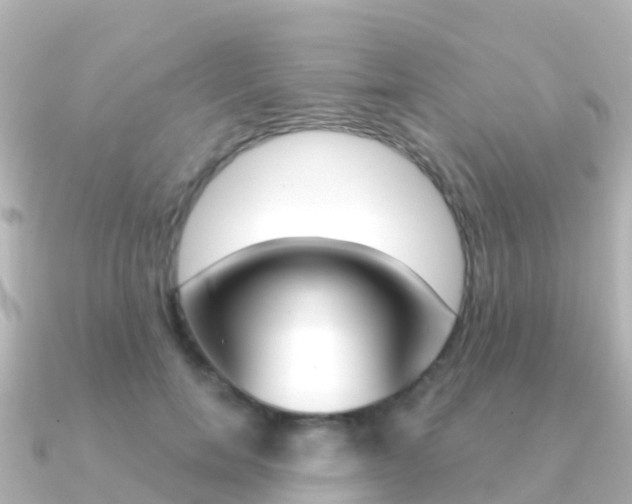 X0000091360750200708101054