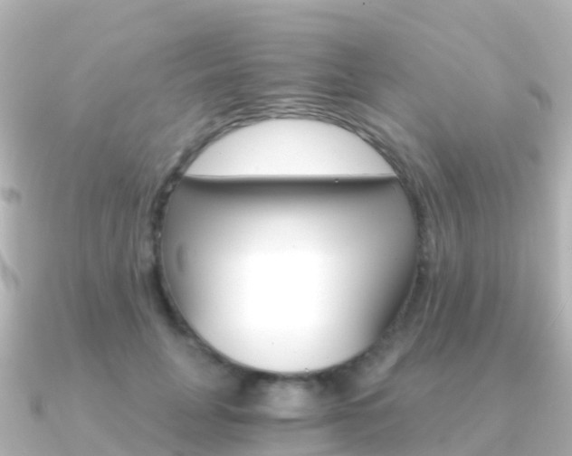 X0000091360751200708101054