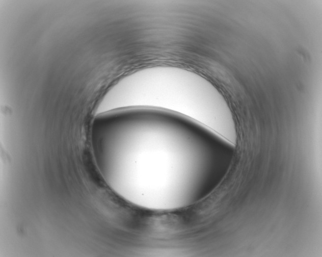 X0000091360752200708101054