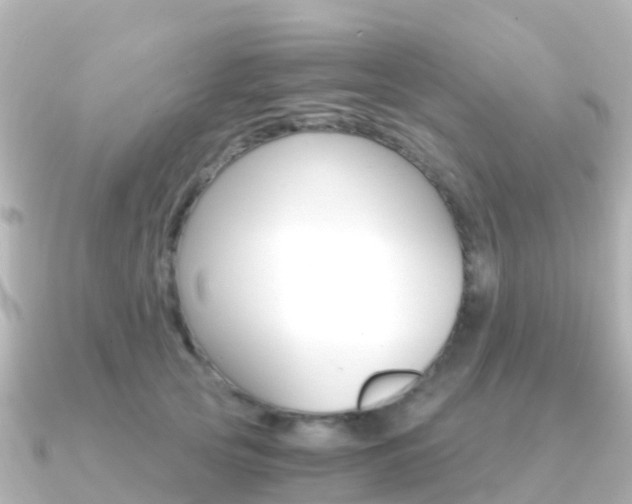 X0000091360753200708101054