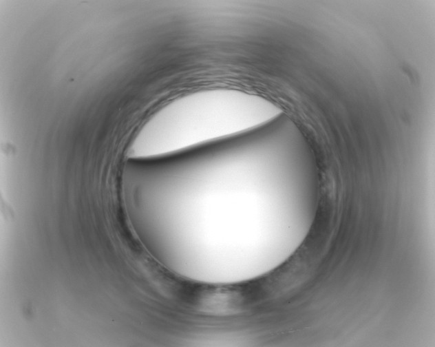 X0000091360754200708101054