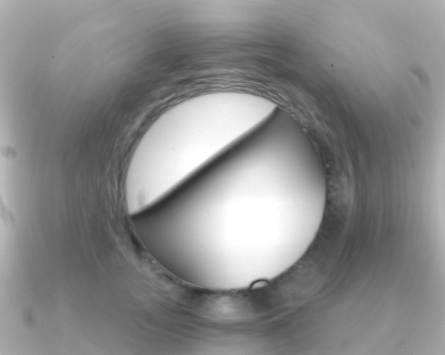 X0000091360755200708101054