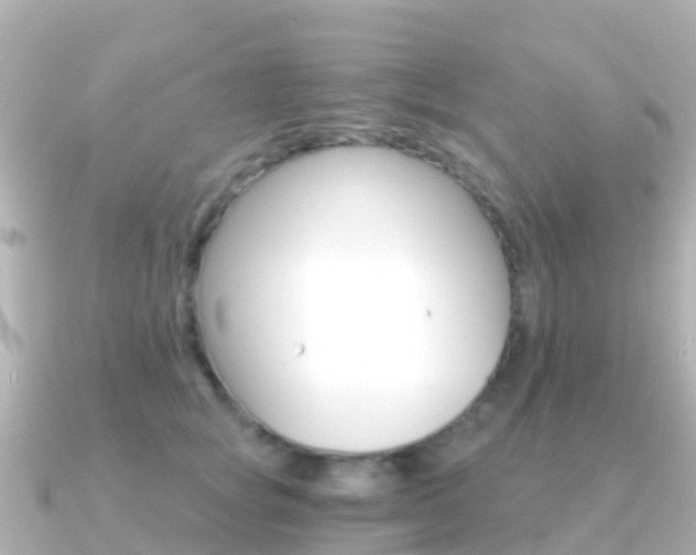 X0000091360757200708101054