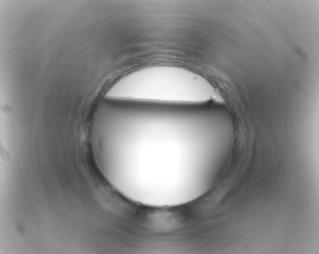 X0000091360759200708101054