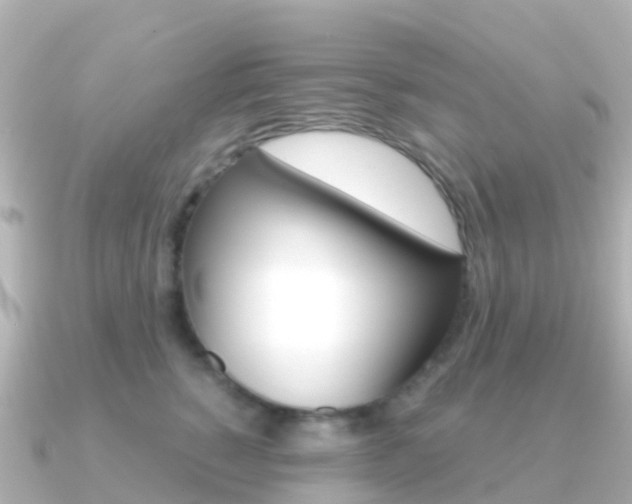 X0000091360760200708101054
