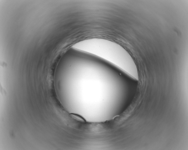 X0000091360762200708101054