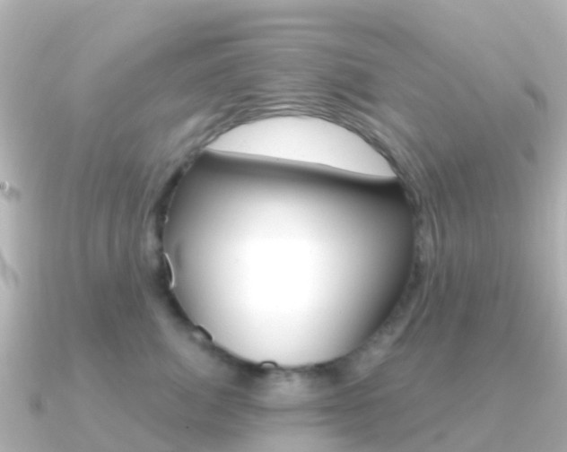 X0000091360764200708101054
