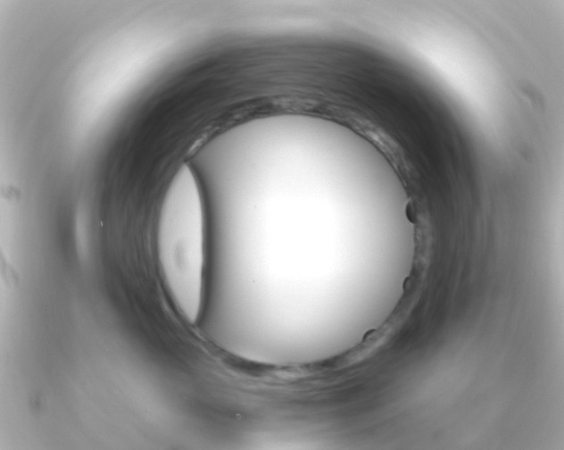 X0000091360765200708101054
