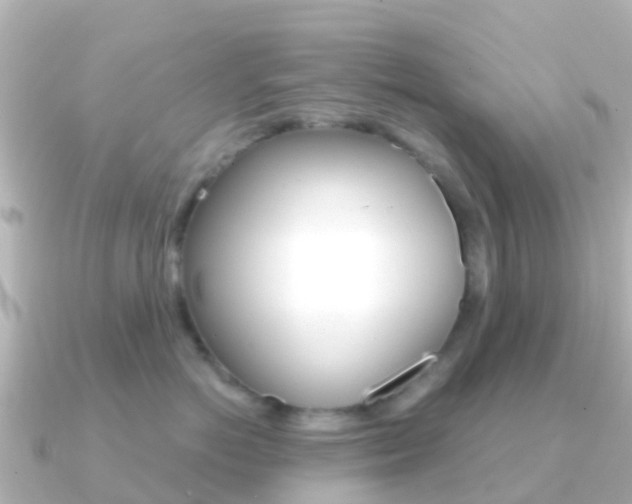 X0000091360766200708101054