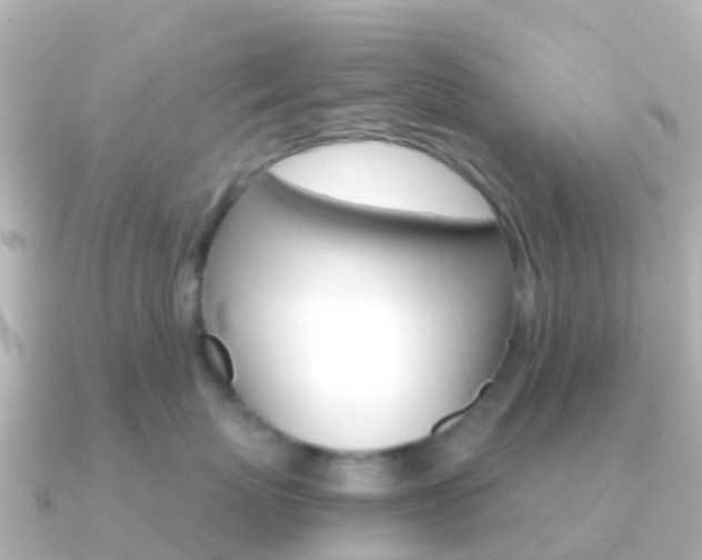 X0000091360767200708101054