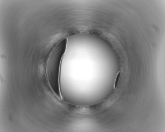 X0000091360768200708101054