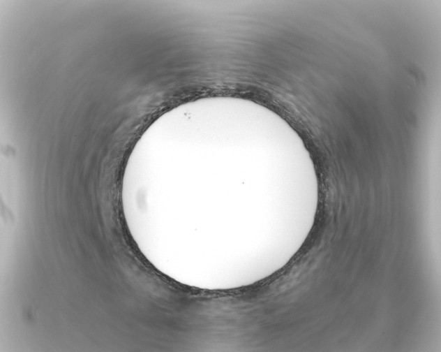 X0000091360769200708101054