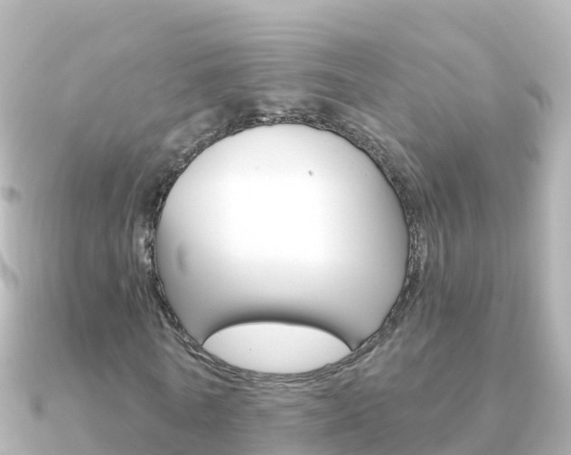 X0000091360770200708101054