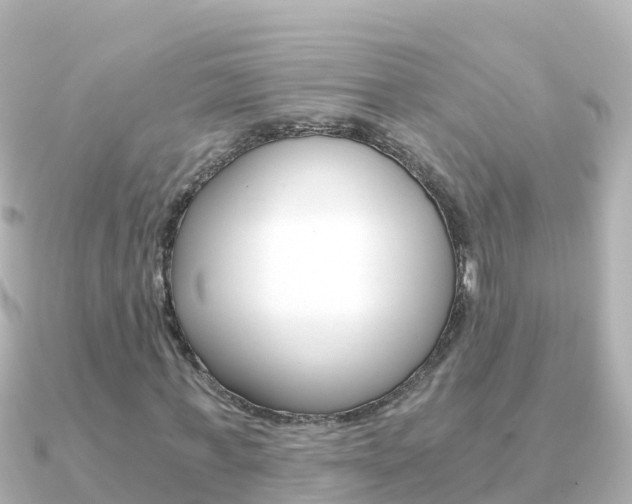 X0000091360771200708101054