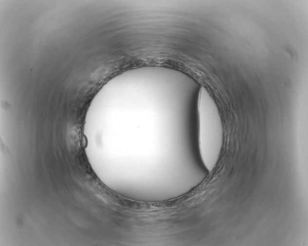 X0000091360772200708101054
