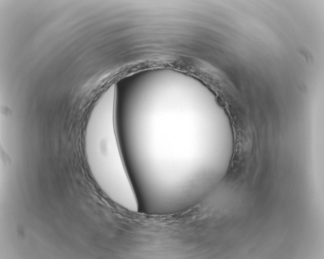 X0000091360773200708101054