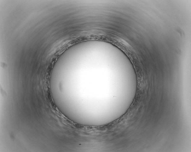 X0000091360774200708101054