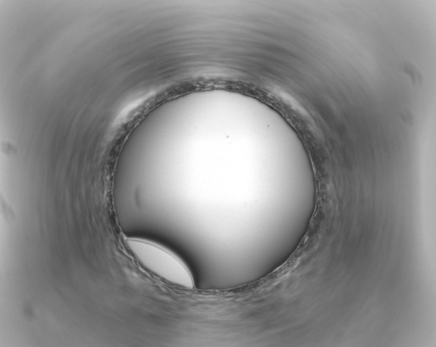 X0000091360775200708101054