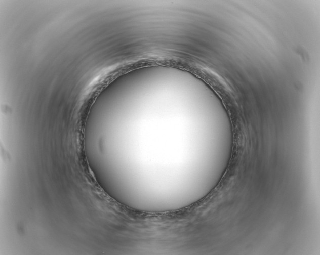 X0000091360776200708101054
