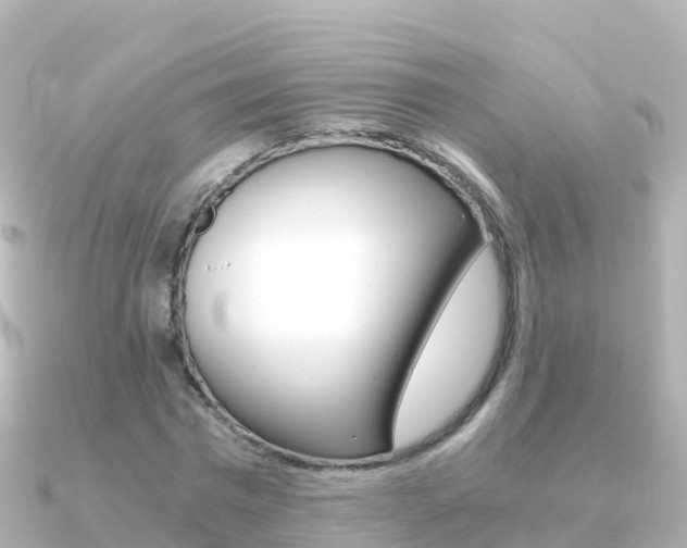 X0000091360777200708101054