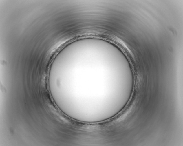 X0000091360778200708101054