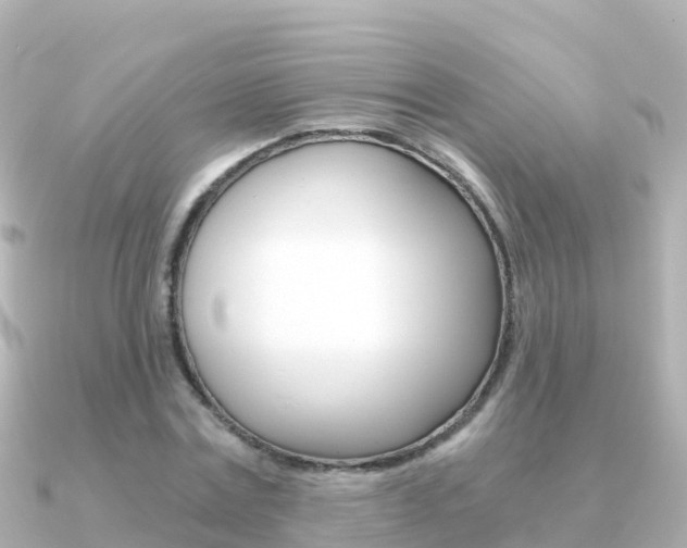 X0000091360779200708101054