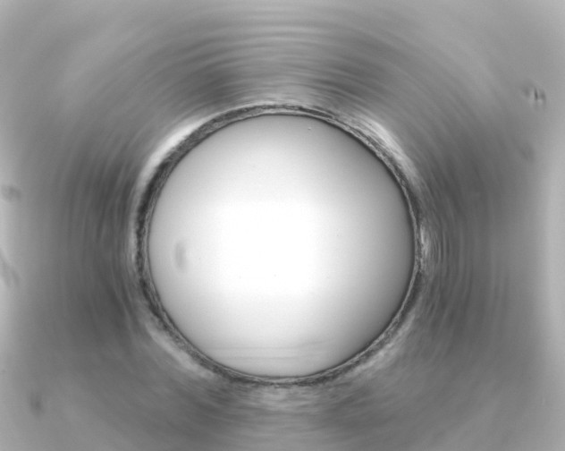 X0000091360780200708101054