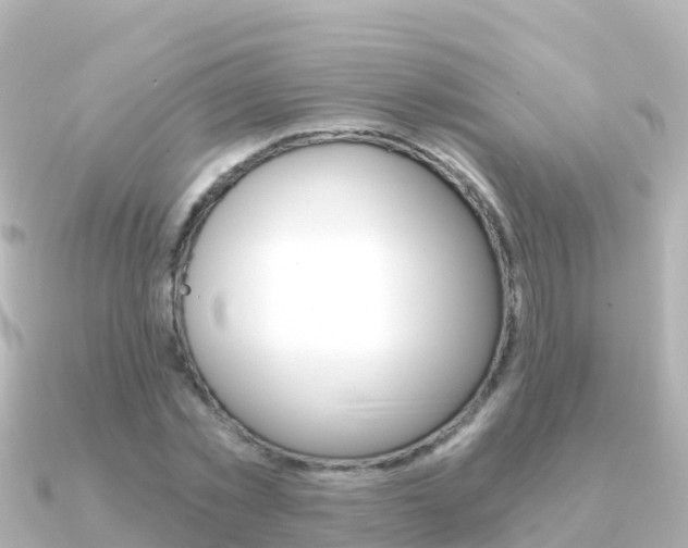 X0000091360781200708101054