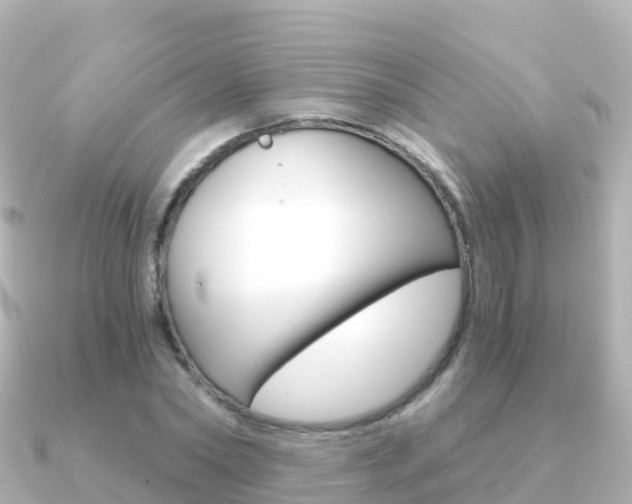 X0000091360782200708101054