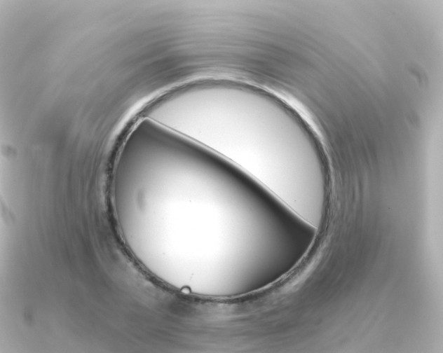 X0000091360783200708101054