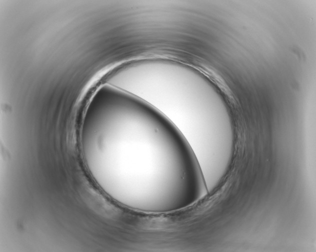 X0000091360784200708101054