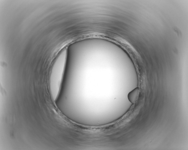X0000091360785200708101054