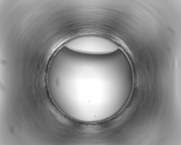 X0000091360786200708101054