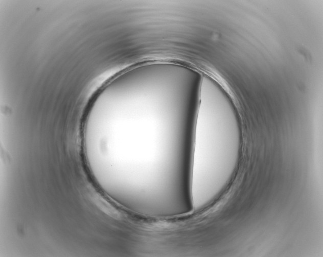 X0000091360787200708101054