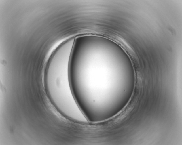 X0000091360788200708101054