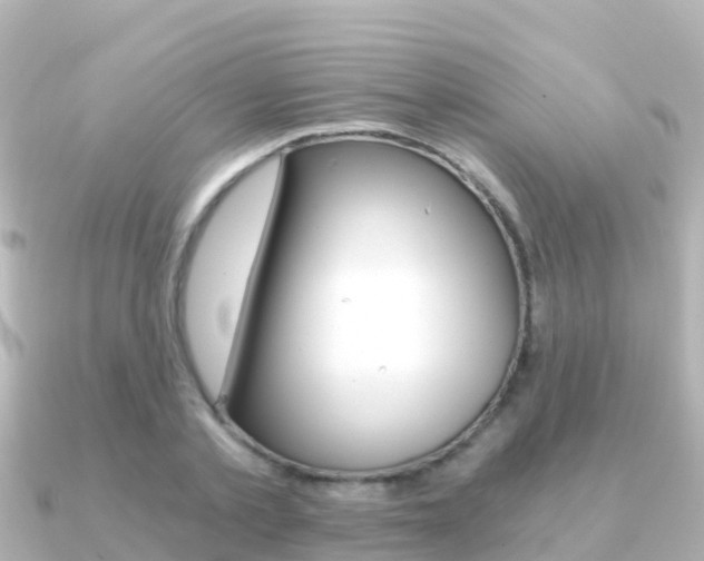 X0000091360789200708101054