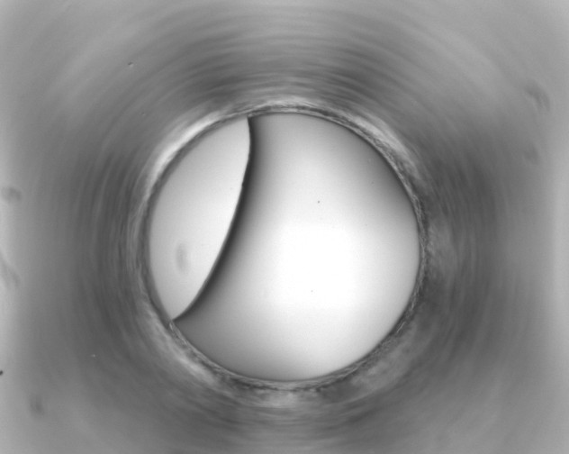 X0000091360790200708101054