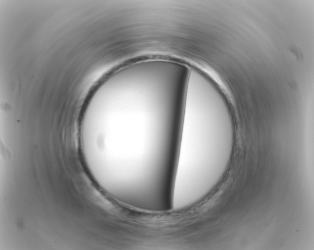 X0000091360791200708101054