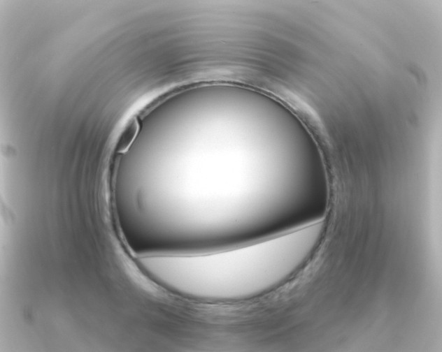 X0000091360792200708101054