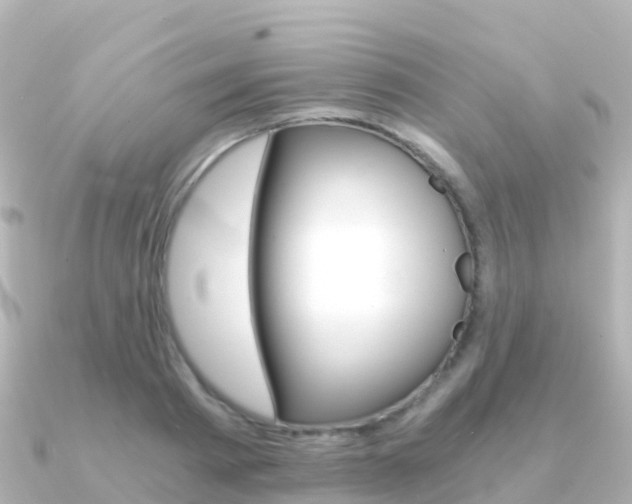 X0000091360793200708101054