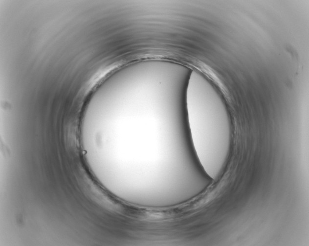 X0000091360794200708101054
