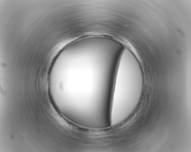 X0000091360795200708101054