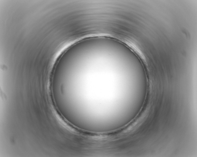 X0000091360797200708101054
