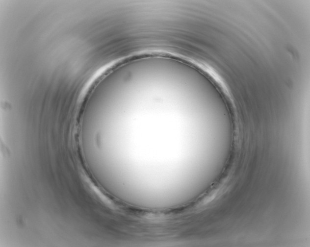X0000091360799200708101054
