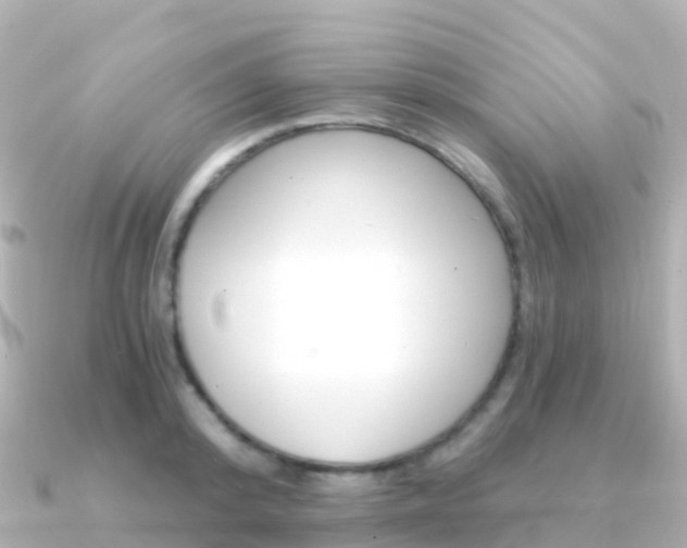 X0000091360800200708101054