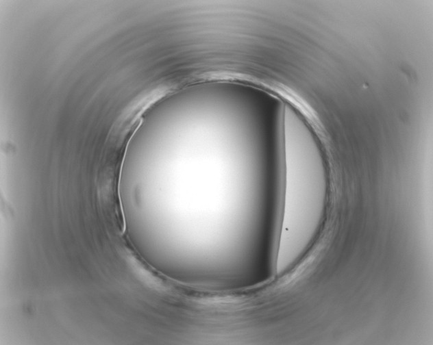 X0000091360801200708101054